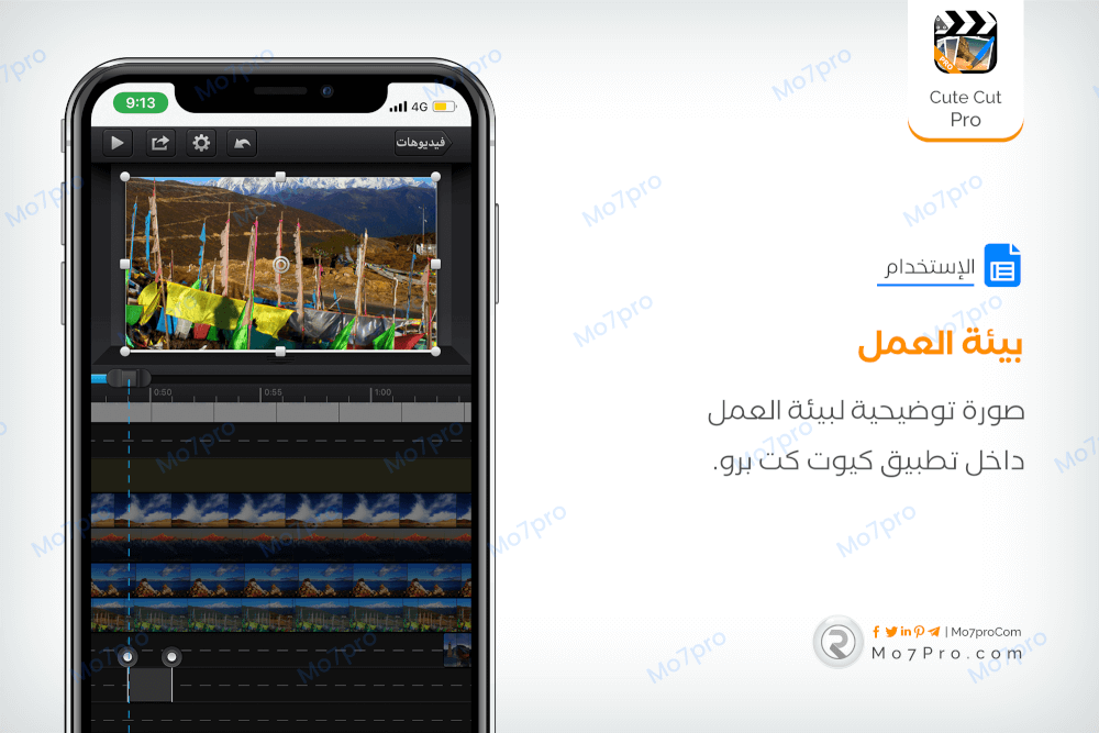 كيوت كت برو مهكر